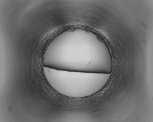 X0000115651111200911101110