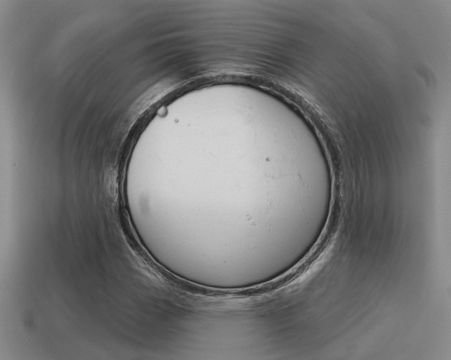 X0000115651113200911101111