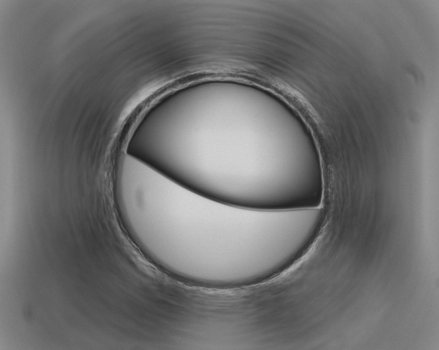 X0000115651114200911101111