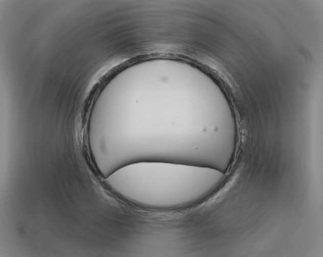 X0000115651117200911101111