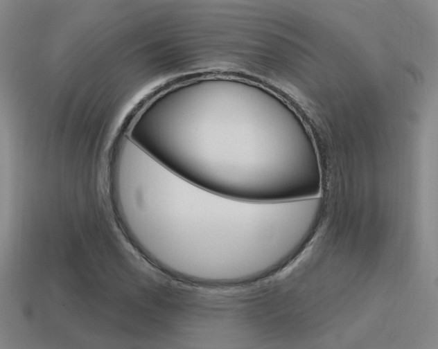 X0000115651118200911101111