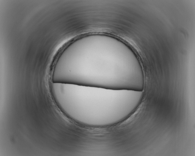 X0000115651119200911101111