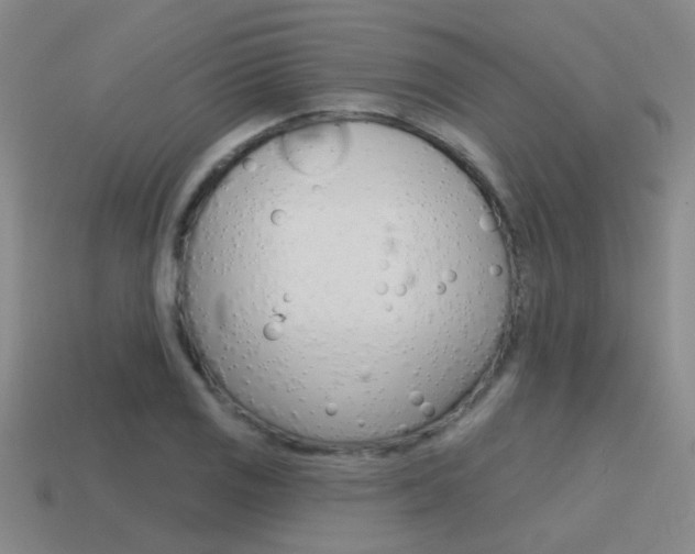 X0000115651125200911101111