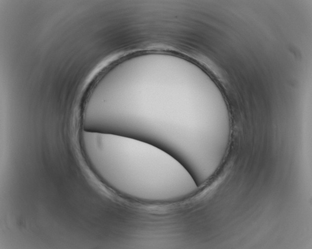 X0000115651126200911101111