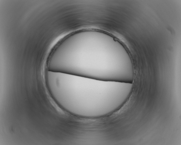 X0000115651127200911101111