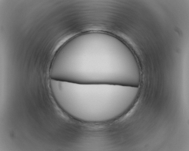 X0000115651129200911101111
