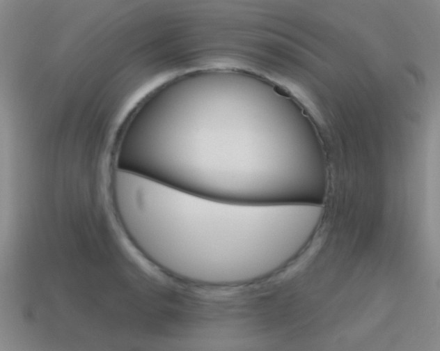 X0000115651134200911101111