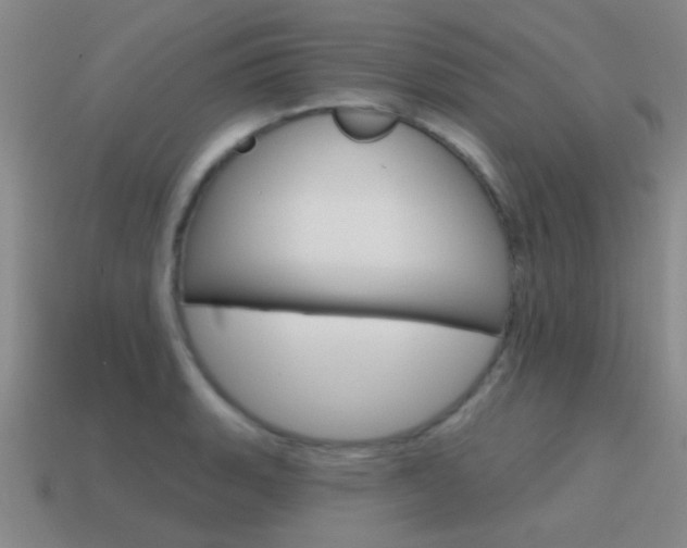 X0000115651135200911101111