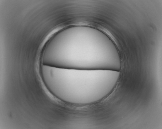 X0000115651139200911101111