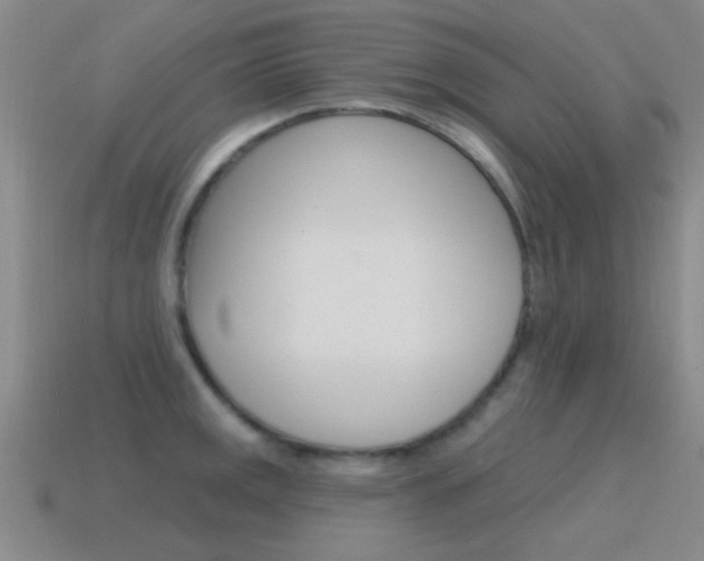 X0000115651141200911101111