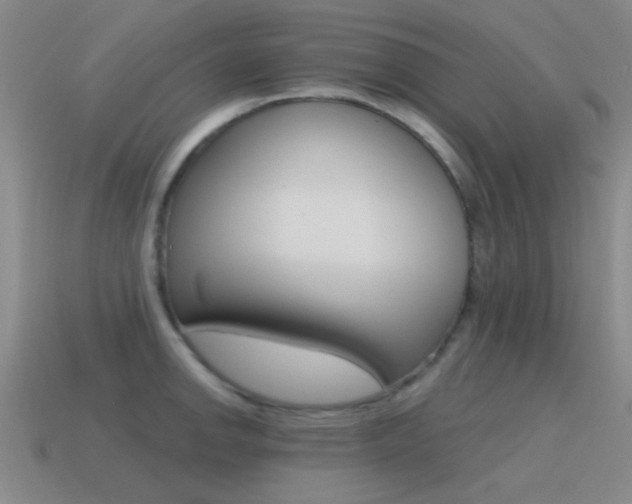 X0000115651142200911101111