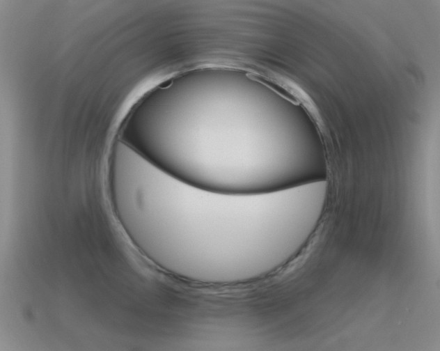 X0000115651146200911101111