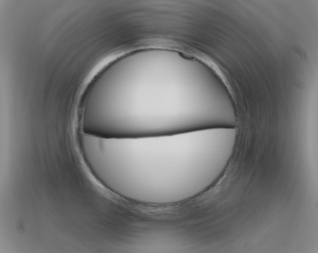 X0000115651147200911101111