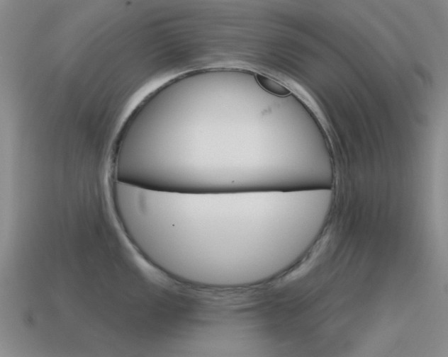X0000115651149200911101111