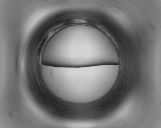 X0000115651151200911101111