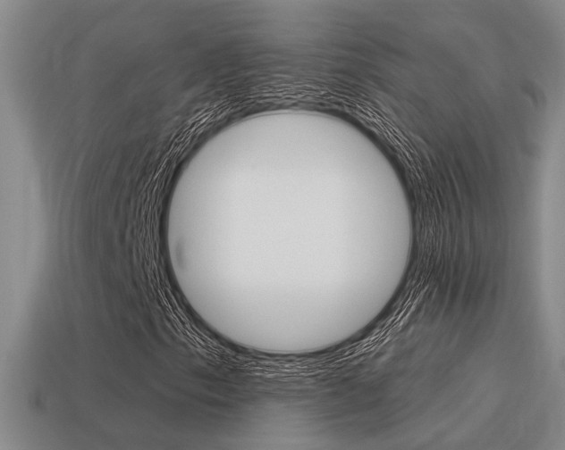 X0000115651153200911101110