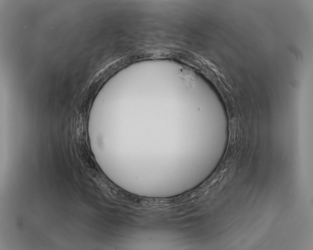 X0000115651158200911101110