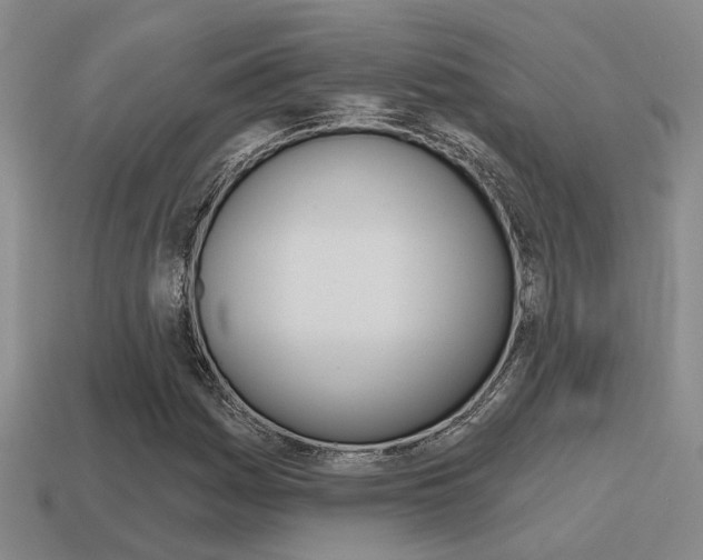 X0000115651161200911101110