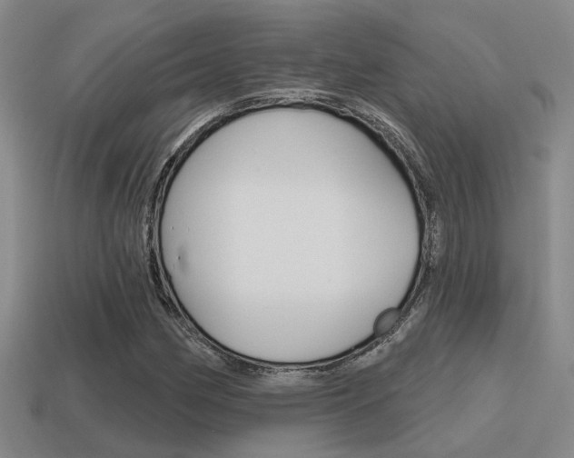 X0000115651162200911101110