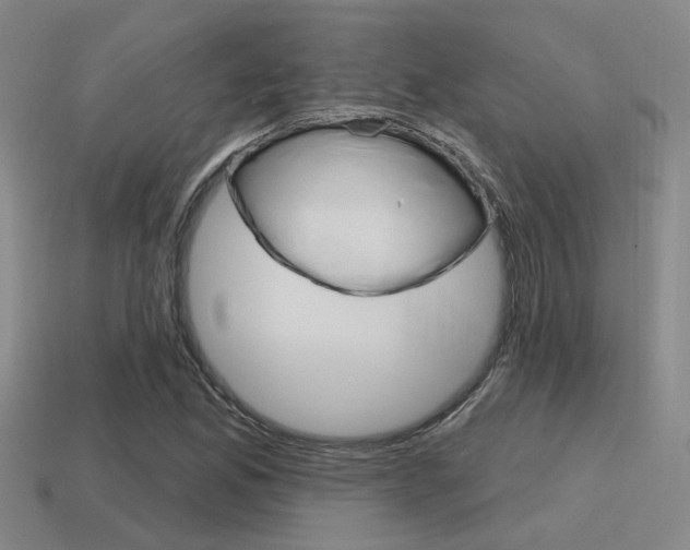 X0000115651165200911101110