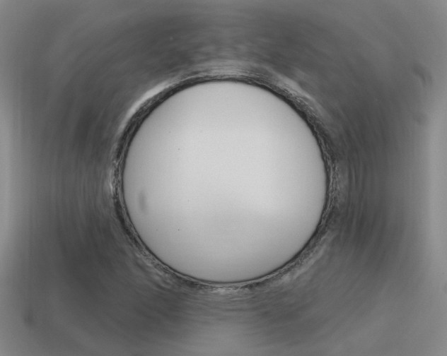 X0000115651166200911101110