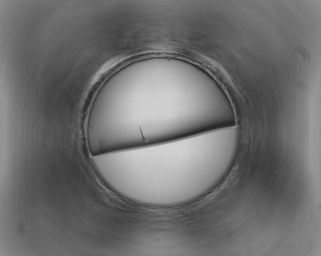 X0000115651168200911101110