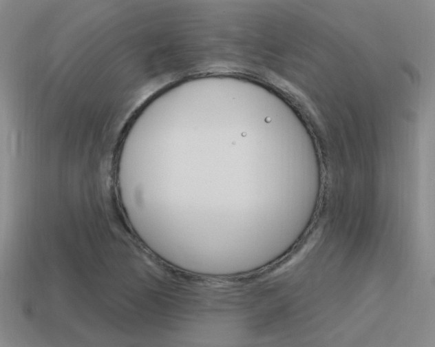 X0000115651170200911101110