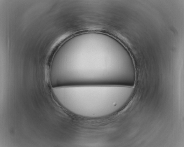 X0000115651171200911101110