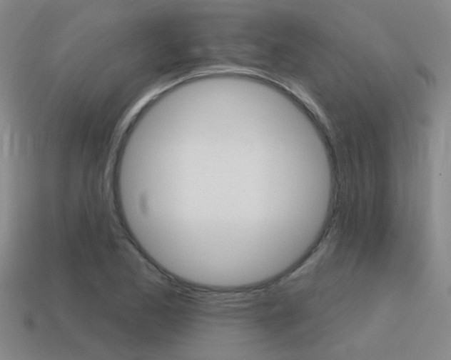 X0000115651173200911101110