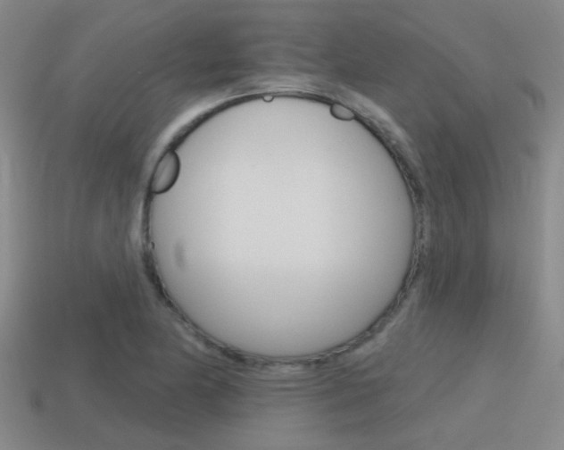 X0000115651174200911101110