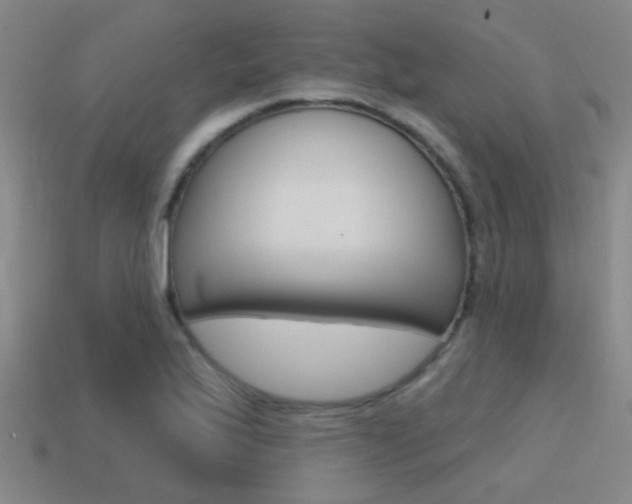 X0000115651175200911101110