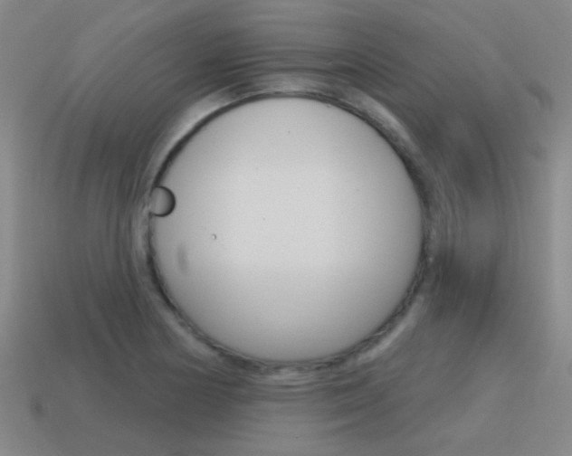 X0000115651178200911101110