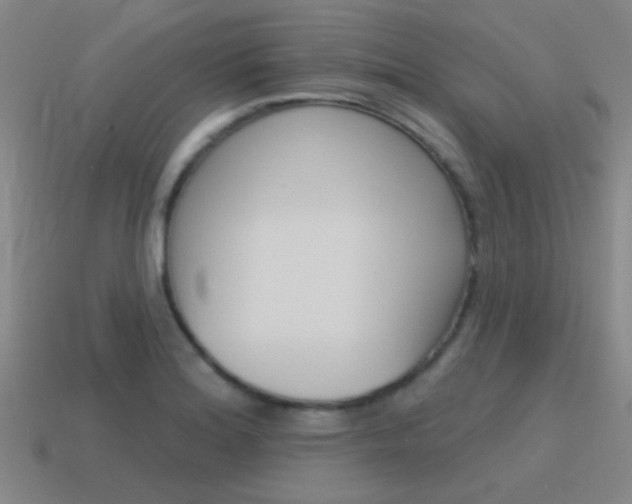 X0000115651180200911101110