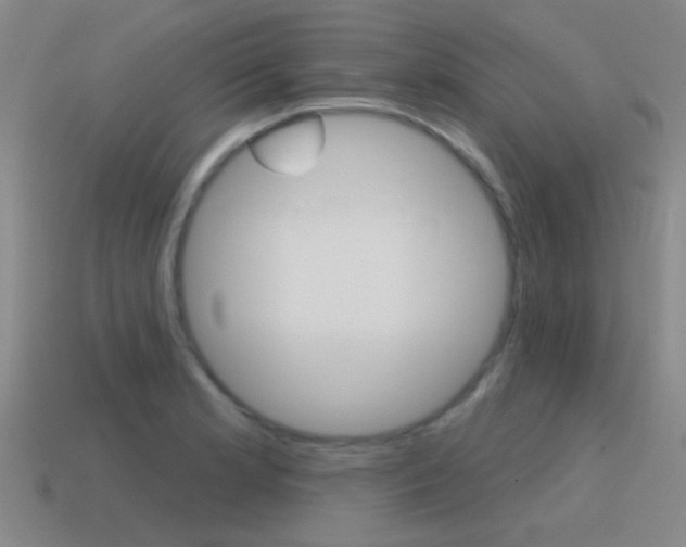 X0000115651181200911101110