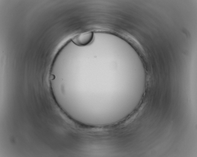 X0000115651182200911101110