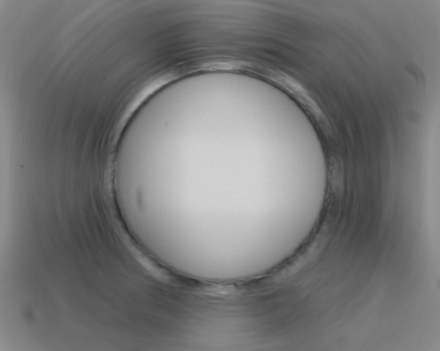 X0000115651186200911101110