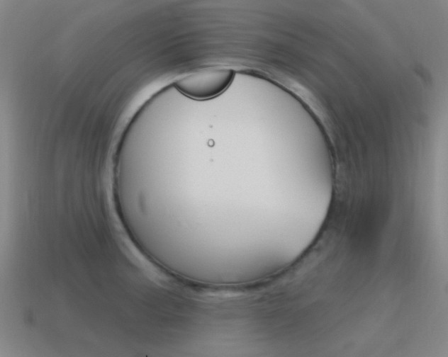 X0000115651187200911101110
