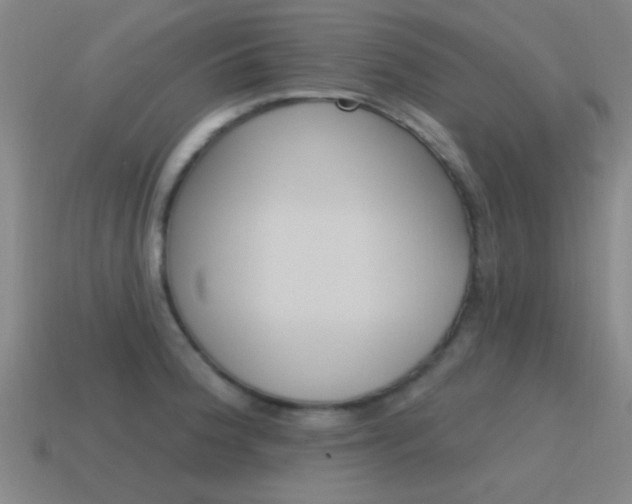X0000115651188200911101110