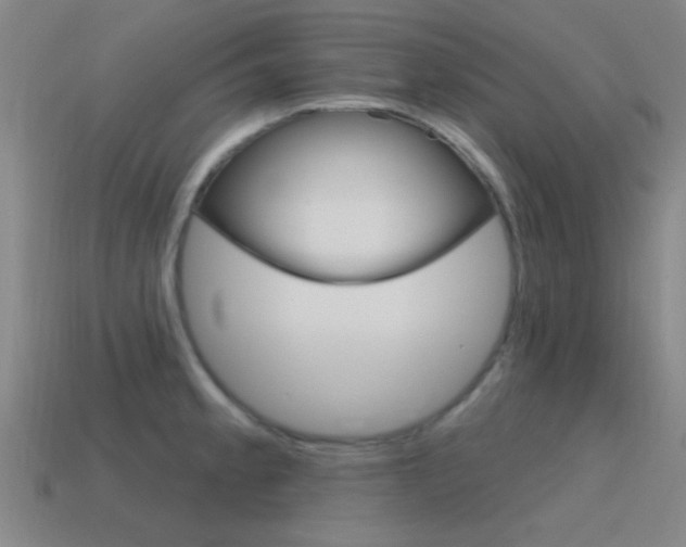 X0000115651189200911101110