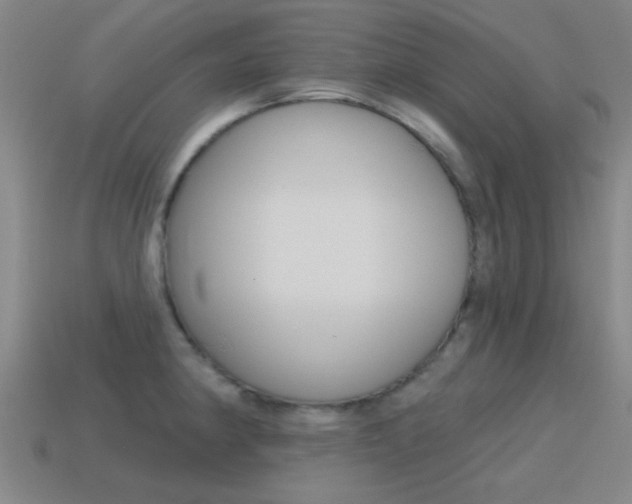 X0000115651190200911101110