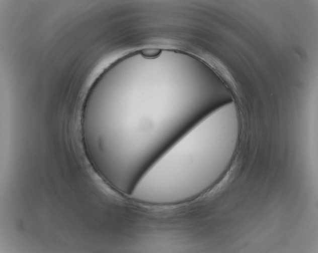 X0000115651192200911101110