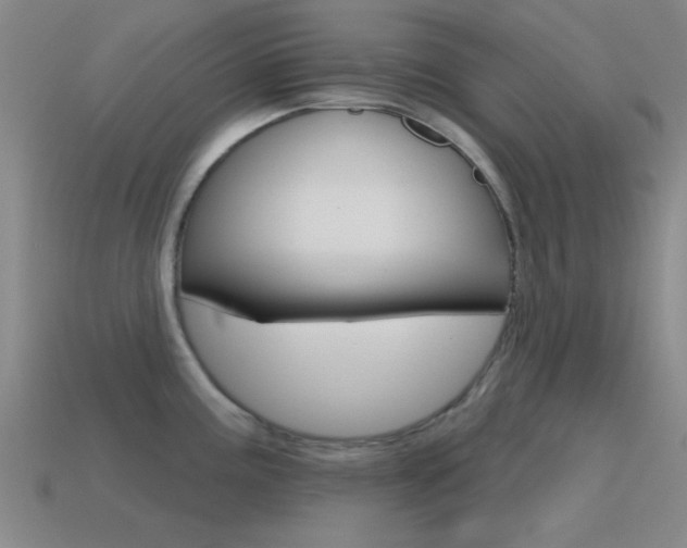 X0000115651195200911101110