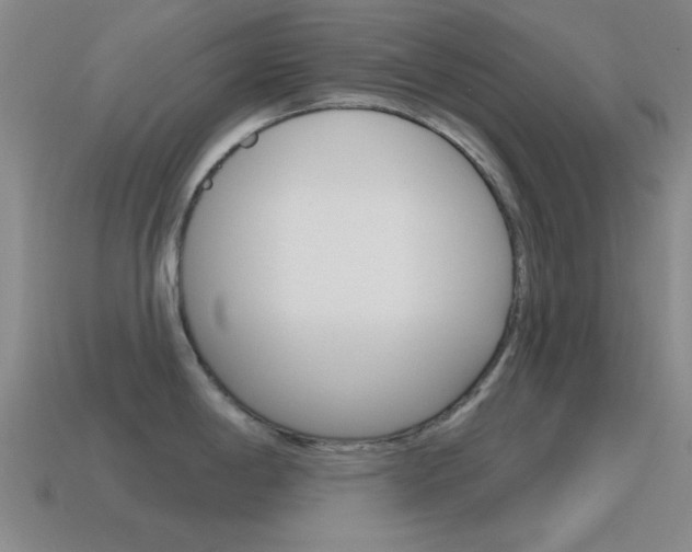 X0000115651198200911101110