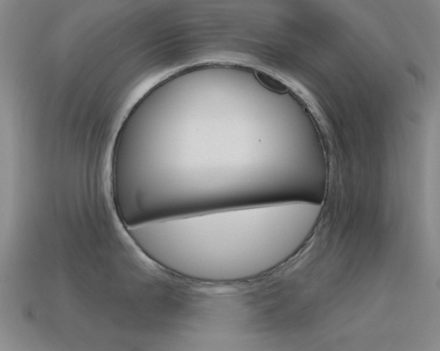 X0000115651199200911101110