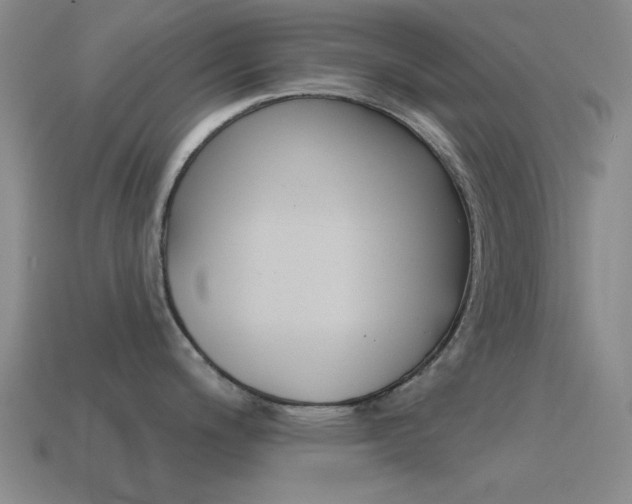 X0000115651200200911101110