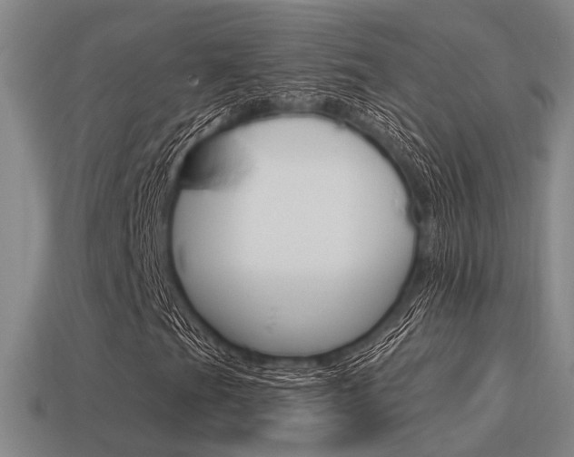 X0000115651201200911101109