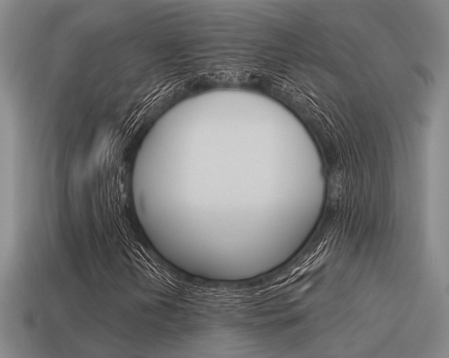 X0000115651202200911101109