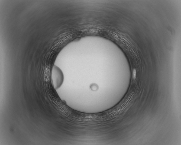 X0000115651203200911101109