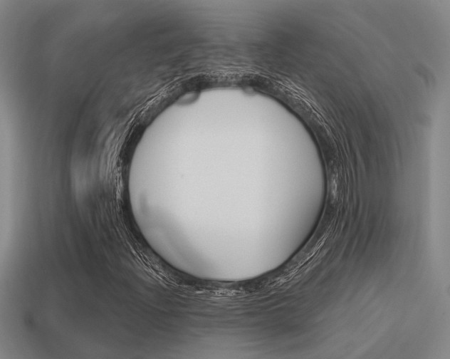 X0000115651204200911101109