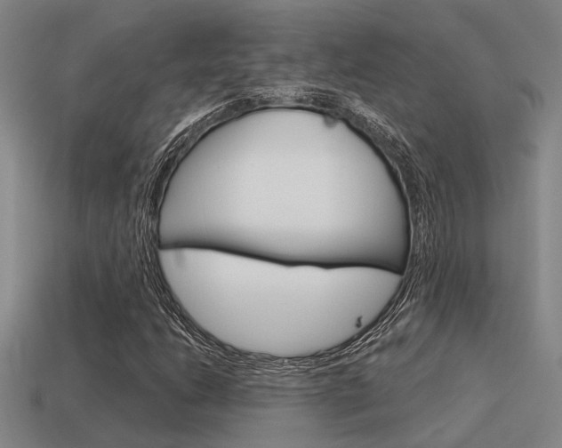 X0000115651206200911101109
